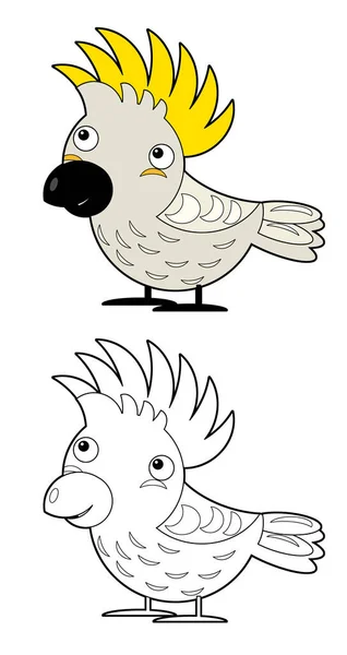 Cartoon Skizzenbuch Asiatische Tier Vogel Kakadu Auf Weißem Hintergrund Illustration — Stockfoto