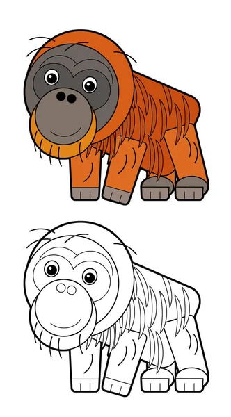 cartoon sketchbook asian scene with asian animal monkey ape orangutan on white background illustration for children
