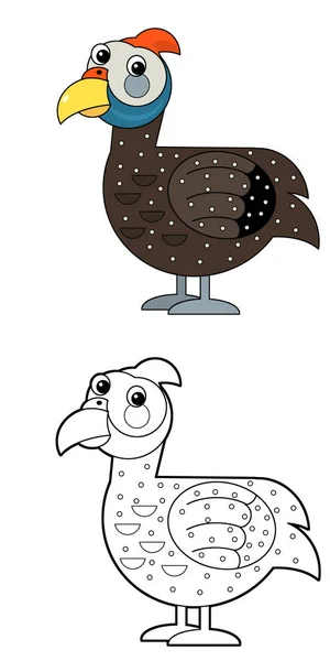 Cartoon Funny Bird Chicken Guinea Fowl Isolated White Background Illustration — Stock Photo, Image