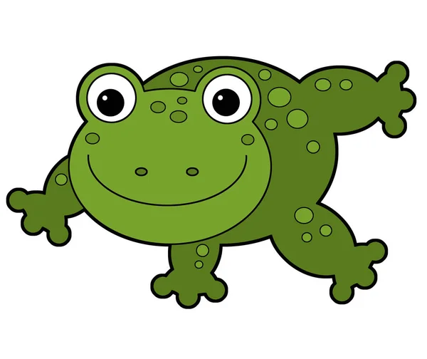 儿童白色背景插图上的卡通动物青蛙蟾蜍 — 图库照片