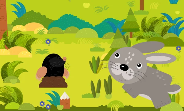 cartoon scene with different european animals in the forest illustration for children