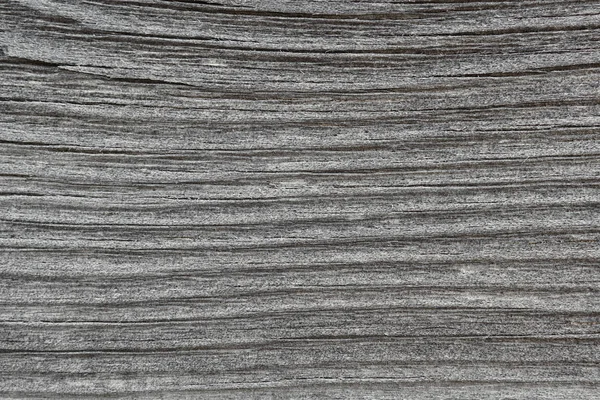 나무판의 나이테의 패턴이죠 어두운 배경이나 사진이거의 흑백이다 클로즈업 — 스톡 사진