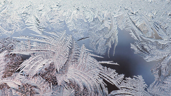Зимой лёд и мороз на оконном стекле. Кристаллы похожи на волшебное растение. Прогноз погоды: холод, мороз, похолодание. Абстрактный мистический фон или обои
