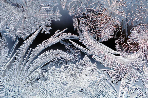 Ice and frost on a window glass in winter. The drawing is similar to a thicket of magic plants. Crystals of frozen water close-up. Bright and impressive illustration. Weather forecast: cold and frost