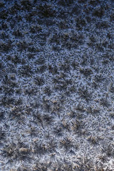 Frost Patterns Glass Winter Looks Falling Leaves Fluff Dark Blue — 스톡 사진