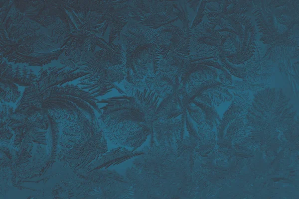 Pattern of magical fantastic plants. Abstract dark blue background or wallpaper. Drawing of ice on a window pane in winter