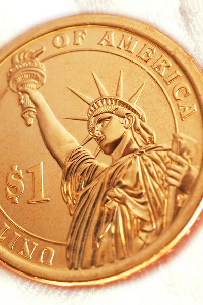 米国コインはヤシの上にあります アメリカの政治体制 大統領選挙 選挙資金の拠出 自由と緑のカードの像 1ドル硬貨を閉じます マクロ — ストック写真
