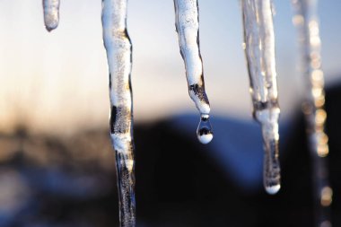Gün batımı ışınlarında kırsal bir kış manzarasında buz saçakları ve bir damla erimiş su çok yakın plandadır. Kar eriyor. İlkbaharın başlangıcı ve ılık mevsim, kışın sonu. Güçlü makro