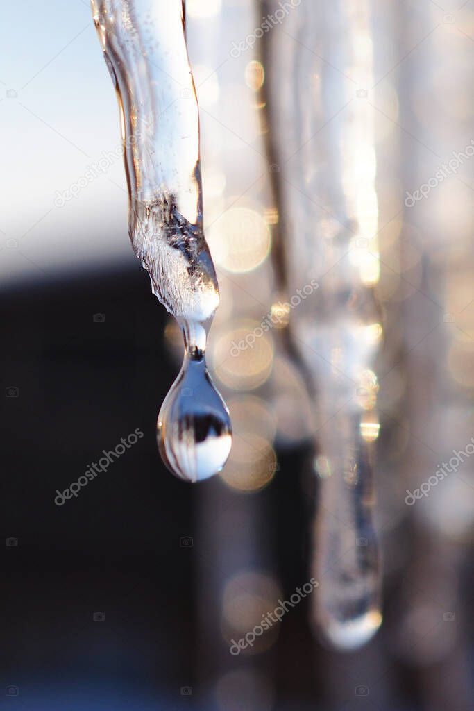 Icicles and a drop of meltwater in a rustic winter landscape in the sunset rays is a very close-up. Snow melting. The beginning of spring and the warm season, the end of winter. Strong macro