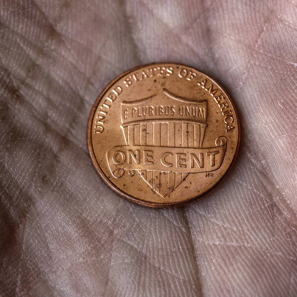 Moeda Americana Centavo Centavo Está Uma Palma Suja Perto Impressionante — Fotografia de Stock