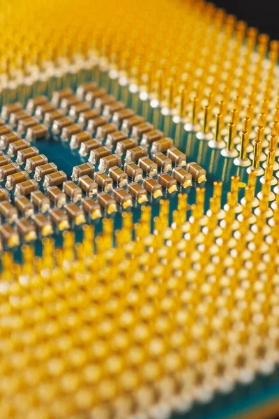 Processador Microprocessador Cpu Computador Laptop Muito Close Semicondutores Pinos Conectores — Fotografia de Stock
