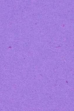 Menekşe leylak kartonunun yüzeyi. Selüloz lifli pürüzlü doğal kağıt dokusu. Parlak doymuş renk. Arkaplan ya da duvar kağıdı. Yukarıdan yukarıdan bir görüntü. Dikey çekim. Makro
