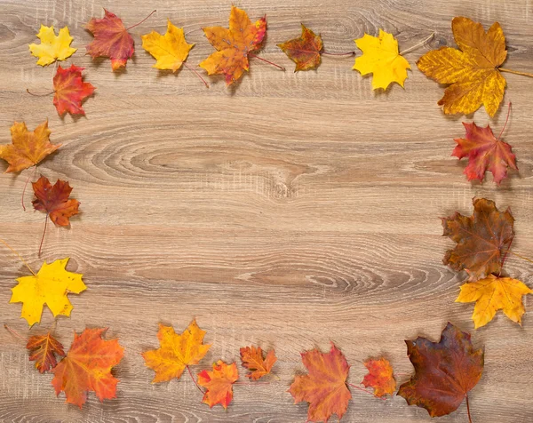 Herfst frame van bladeren op houten achtergrond — Stockfoto