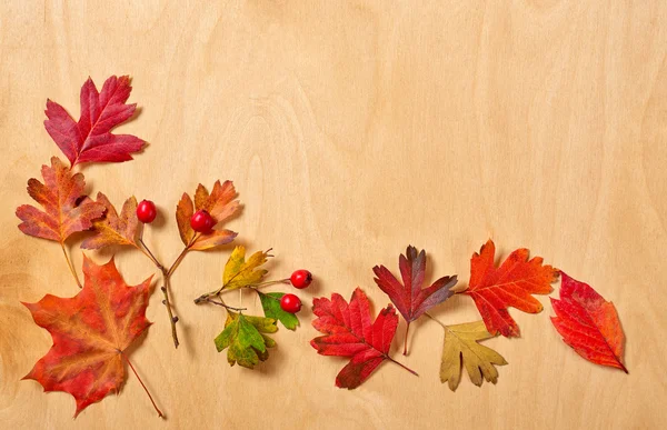 Herfst frame van bladeren op houten achtergrond — Stockfoto