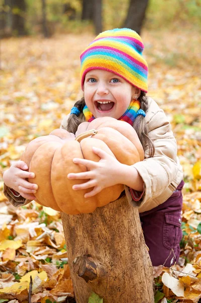 Niña en el bosque de otoño con calabaza y manzanas, hermoso paisaje en temporada de otoño con hojas amarillas — Foto de Stock