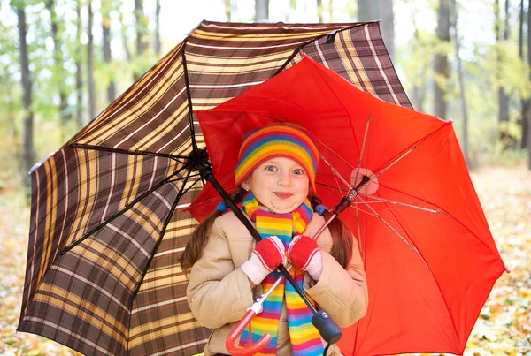 Lány gyermek esernyő őszi erdőben, gyönyörű táj tartozik szezont sárga levelek — Stock Fotó