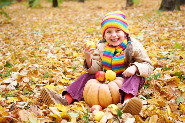 Fille enfant en forêt d'automne avec citrouille et pommes, beau paysage en saison d'automne avec des feuilles jaunes — Photo