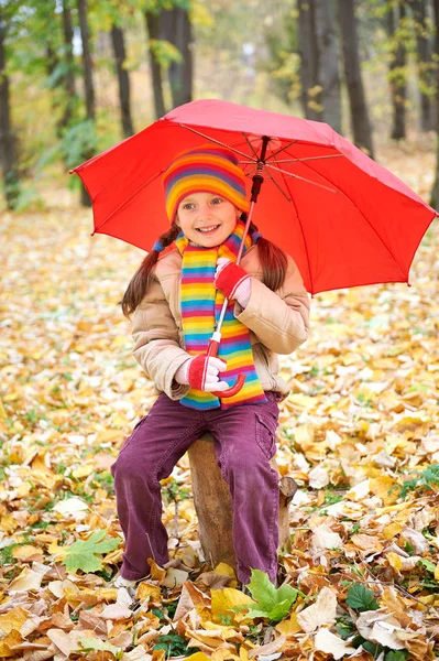 Bambina bambino nella foresta autunnale con ombrello, bellissimo paesaggio in autunno stagione con foglie gialle — Foto Stock