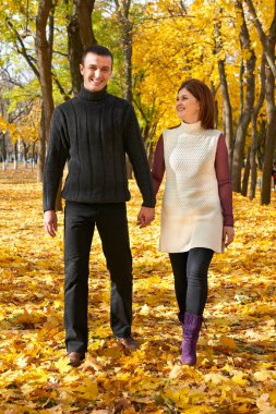 romantik insanlar, yetişkin çift sonbahar şehir Parkta yürümek mutlu ağaçları ile sarı yaprak, parlak güneş ve mutlu duygular, hassasiyet ve duygular