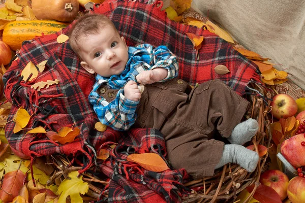 Otoño niño mentira en manta a cuadros, hojas de otoño amarillo, manzanas, calabaza y decoración en textil — Foto de Stock