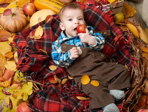 Herbstlicher kleiner Junge liegt auf karierter Decke, gelbes Herbstlaub, Äpfel, Kürbis und Deko auf Textil — Stockfoto