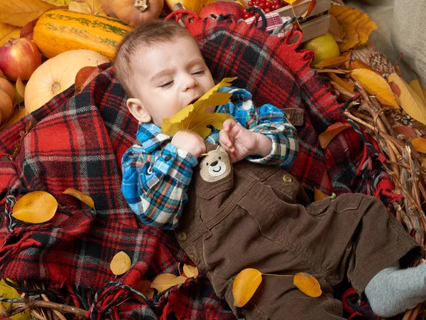 Otoño niño mentira en manta a cuadros, hojas de otoño amarillo, manzanas, calabaza y decoración en textil — Foto de Stock