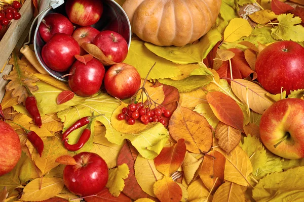 Autumn background, fruits and vegetables on yellow fallen leaves, apples and pumpkin, decoration in country style — Stock Photo, Image