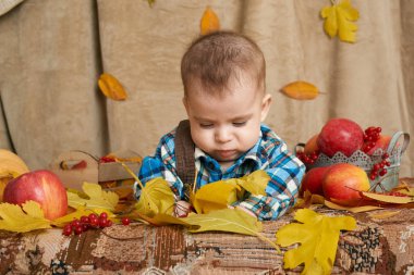 sonbahar küçük çocuk çocuk yalan üzerine sarı sonbahar yaprakları, elma, kabak ve Tekstil dekorasyon