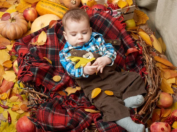 Autumn little boy lie on plaid blanket, yellow fall leaves, apples, pumpkin and decoration on textile — Stock Photo, Image