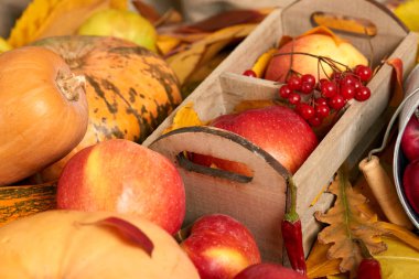 sonbahar arka plan, meyve ve sebze düşen sarı yapraklar, elma ve kabak, ülke tarzında