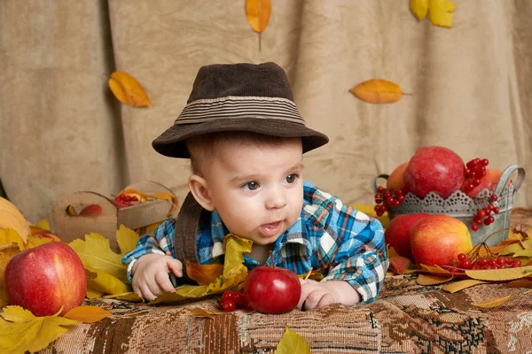 Autumn little child boy lie on yellow fall leaves, apples, pumpkin and decoration on textile — Stock Photo, Image