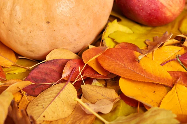 Autumn background, fruits and vegetables on yellow fallen leaves, apples and pumpkin, decoration in country style — Stock Photo, Image