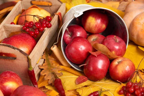 Fondo de otoño, frutas y verduras en hojas amarillas caídas, manzanas y calabaza, decoración en estilo país — Foto de Stock
