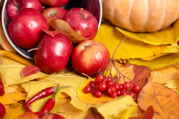 Осенний фон, фрукты и овощи на желтых опавших листьях, яблоки и тыквы, оформление в стиле кантри — стоковое фото