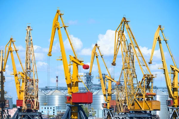 cargo transportation concept - industrial sea port and cranes, railways, warehouses
