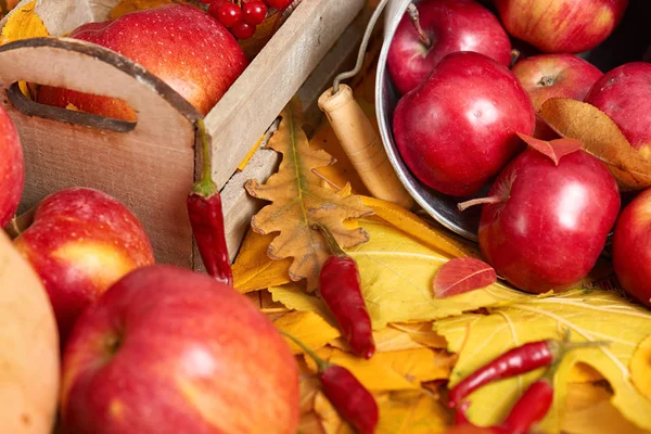 Fondo de otoño, frutas y verduras en hojas amarillas caídas, manzanas y calabaza, decoración en estilo país — Foto de Stock