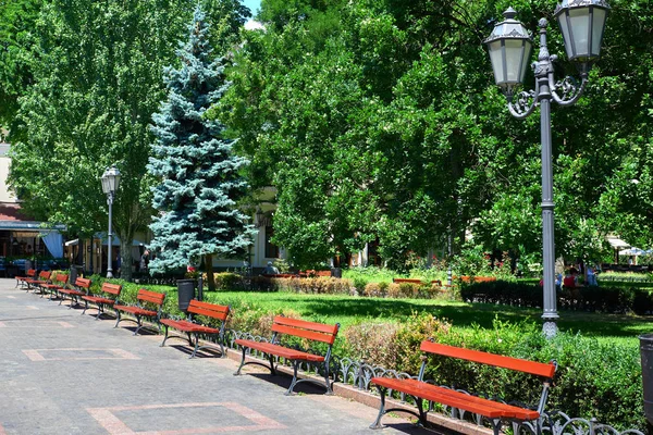 Zomer stadspark, zonnige dag, bomen met schaduwen en groen gras — Stockfoto