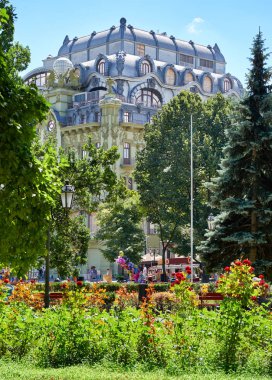 gün ortasında, parlak güneşli bir günde, ağaçların gölgeleri ve yeşil çim ile yaz Şehir Parkı
