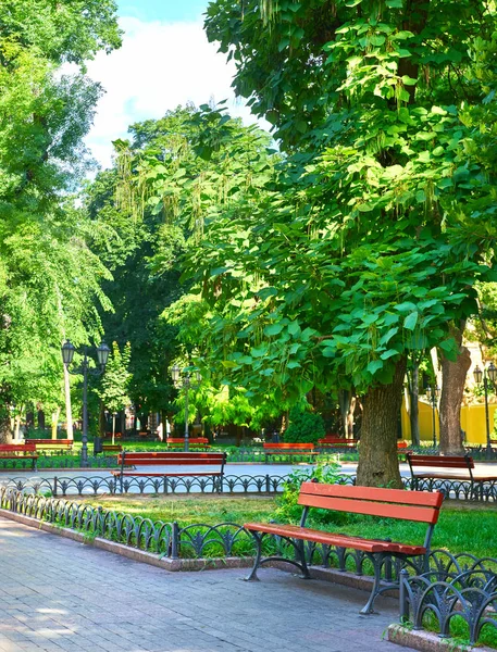 Parque de la ciudad de verano al mediodía, día soleado brillante, árboles con sombras y hierba verde —  Fotos de Stock