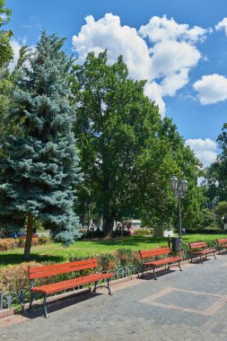 gün ortasında, parlak güneşli bir günde, ağaçların gölgeleri ve yeşil çim ile yaz Şehir Parkı