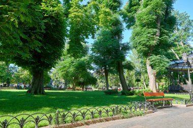 Öğle vakti, güneş ışığı, Ağaçların gölgeleri ve yeşil çim ile parlak yaz Şehir Parkı