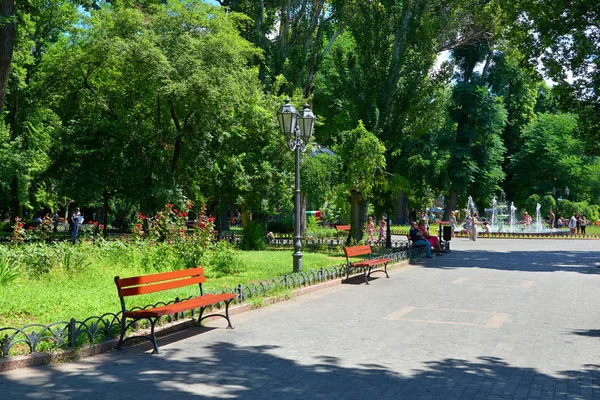 Zomer stadspark, zonnige dag, bomen met schaduwen en groen gras — Stockfoto
