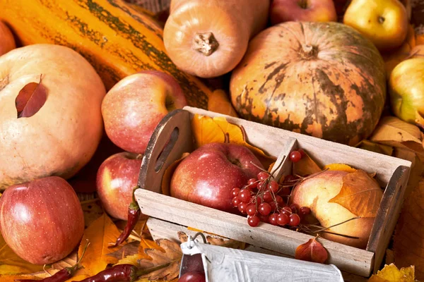 Fondo de otoño, frutas y verduras sobre hojas amarillas caídas, manzanas y calabaza, decoración en estilo país, de color marrón oscuro tonificado — Foto de Stock