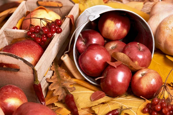 Fondo de otoño, frutas y verduras sobre hojas amarillas caídas, manzanas y calabaza, decoración en estilo país, de color marrón oscuro tonificado — Foto de Stock