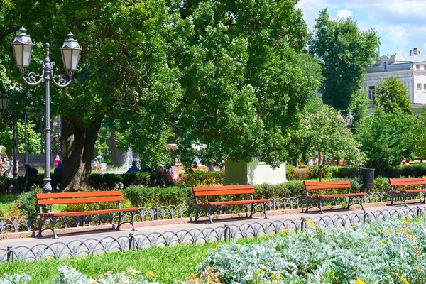 Zomer stadspark op de middag, zonnige dag, bomen met schaduwen en groen gras — Stockfoto