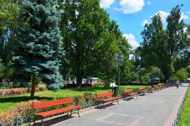 Yaz Şehir Parkı, parlak güneşli bir günde, ağaçlar gölgeler ve yeşil çimen