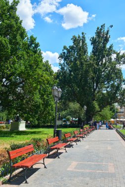 gün ortasında, parlak güneşli bir günde, ağaçların gölgeleri ve yeşil çim ile yaz Şehir Parkı