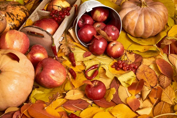 Осенний фон, фрукты и овощи на желтых опавших листьях, яблоки и тыквы, украшения в стиле кантри, коричневые тонированные — стоковое фото