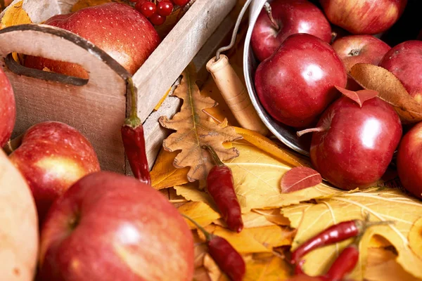 Fondo de otoño, frutas y verduras sobre hojas amarillas caídas, manzanas y calabaza, decoración en estilo país, de color marrón oscuro tonificado — Foto de Stock