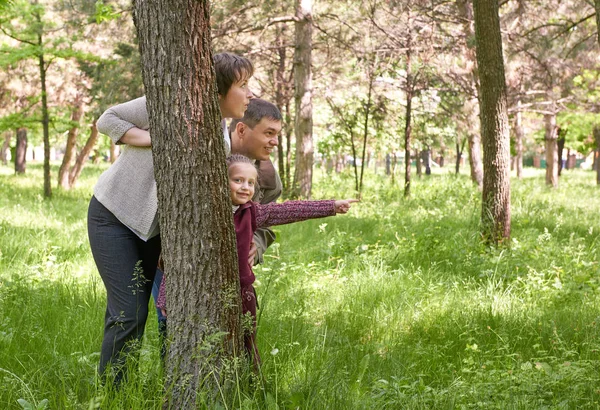 Happy family and child in summer park. People hiding and playing behind a tree. Beautiful landscape with trees and green grass — Stock Photo, Image